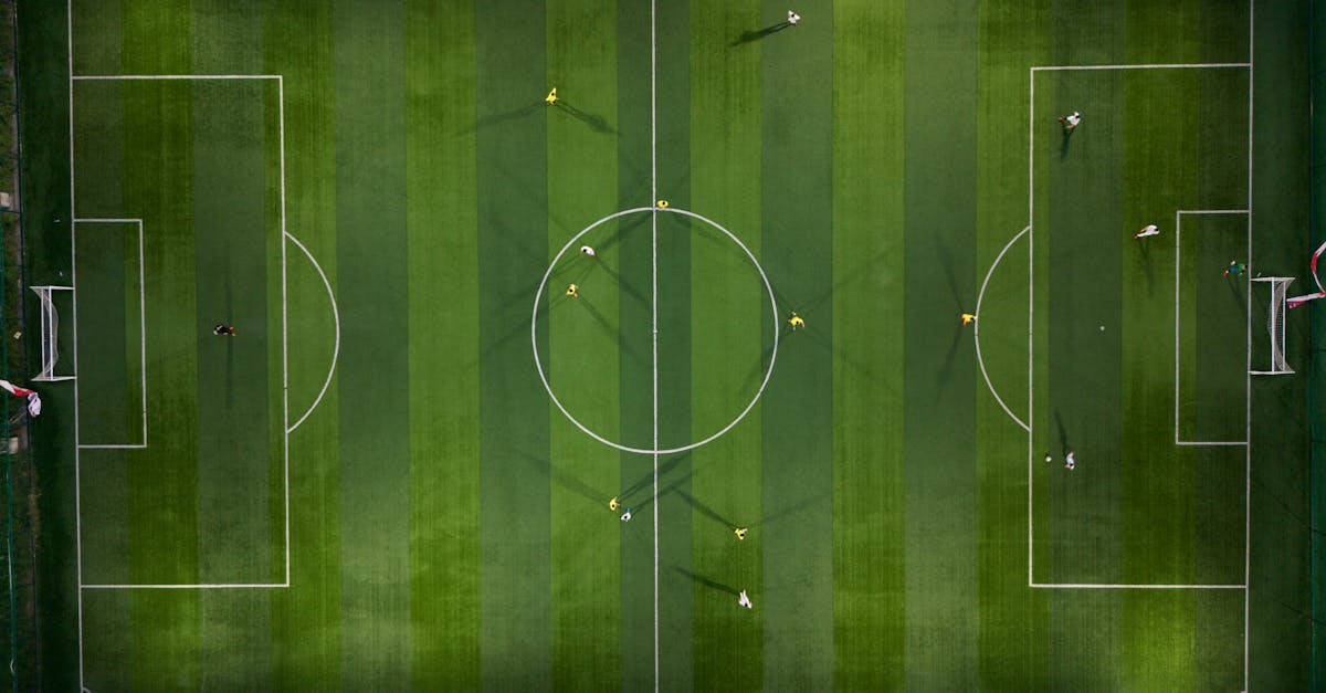 Assessing Soil Quality Before Artificial Turf Installation