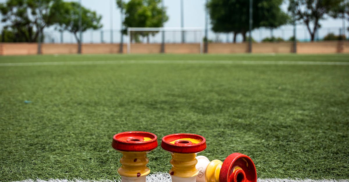 Best Practices for Maintaining a Weed-Free Outdoor Space