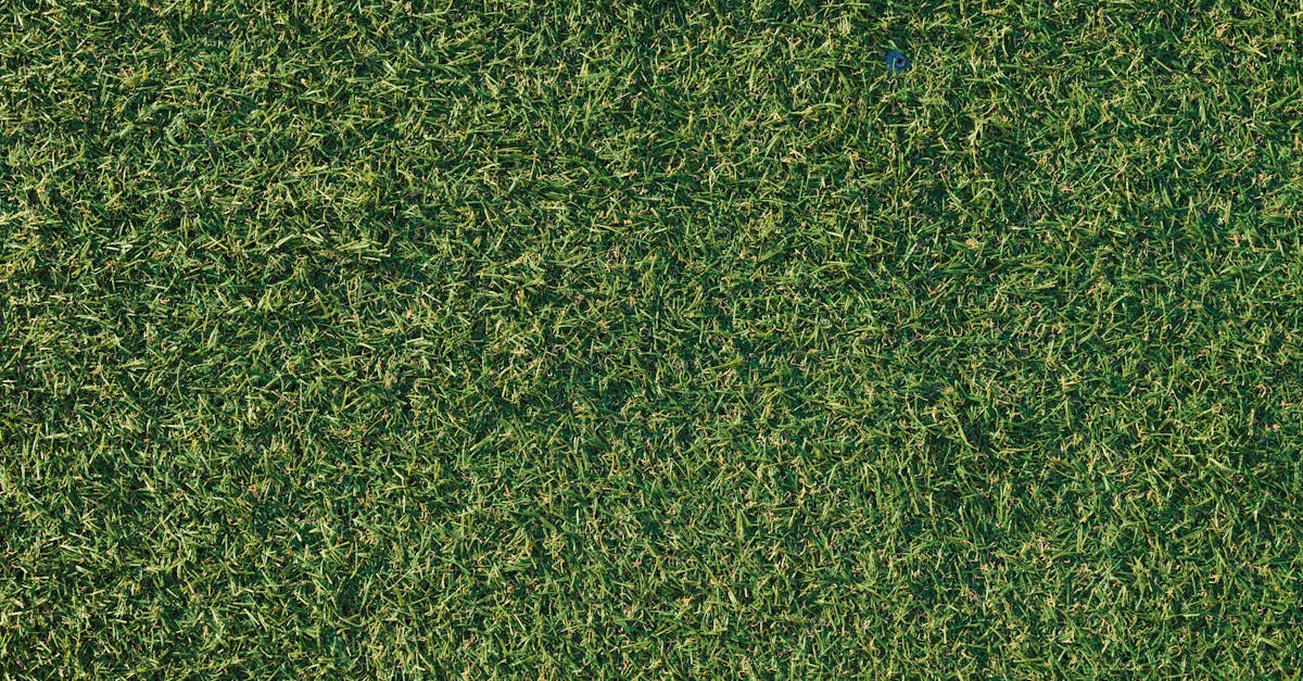 Choosing Kid-Friendly Artificial Turf Options