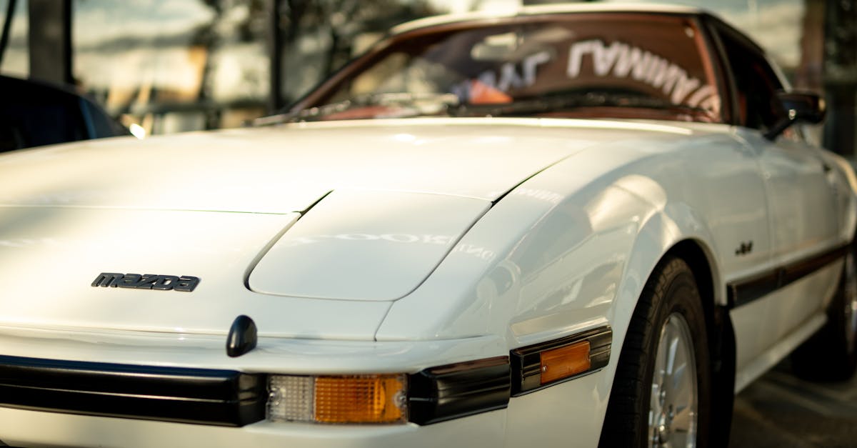 Choosing the Right Synthetic Grass for Brisbane Climates