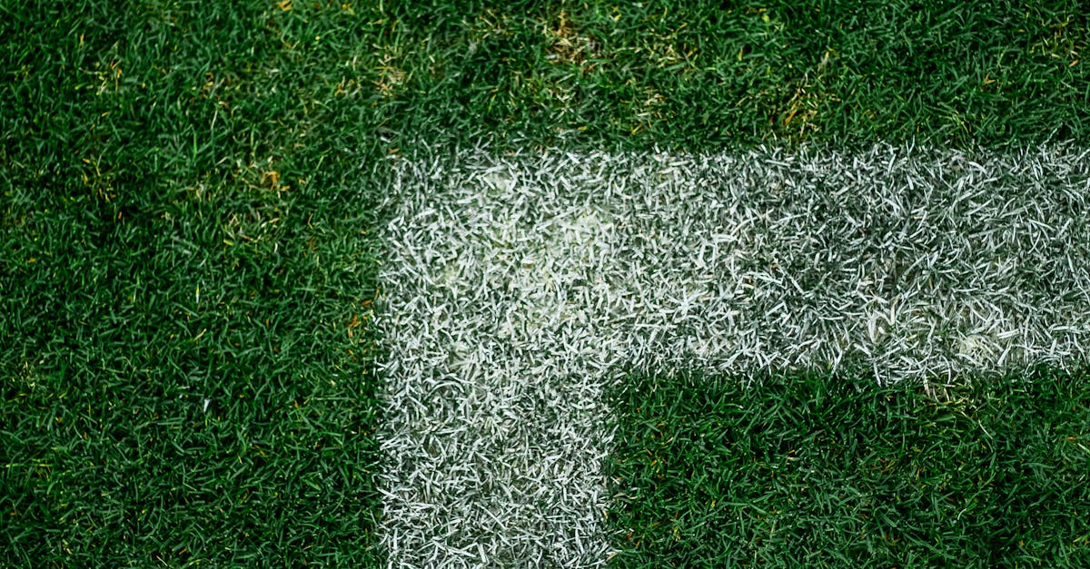 Comparing Natural-Looking Turf Options for Brisbane Homes