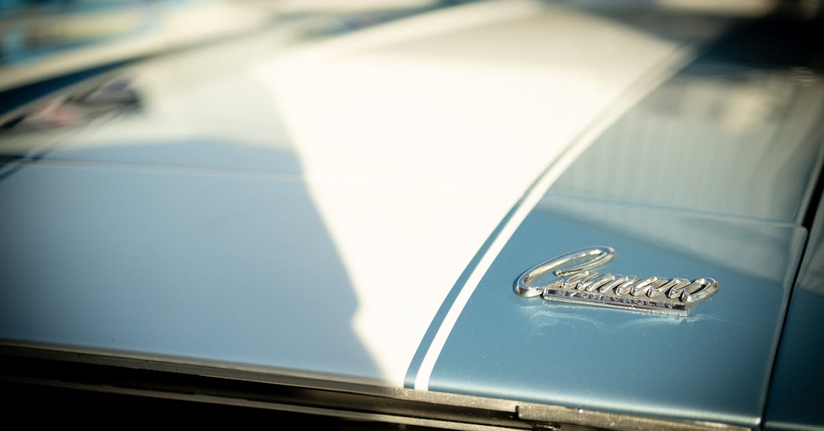 Effective Organic Solutions for Weed Control in Artificial Turf