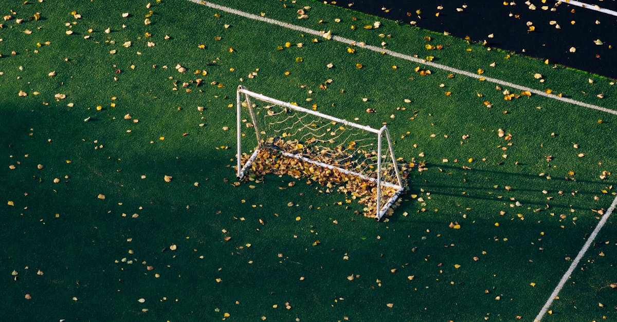 Essential Tools for Site Preparation