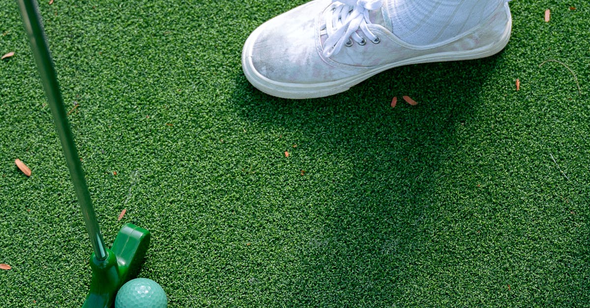 How Artificial Turf Can Minimise Toxic Chemicals for Pets