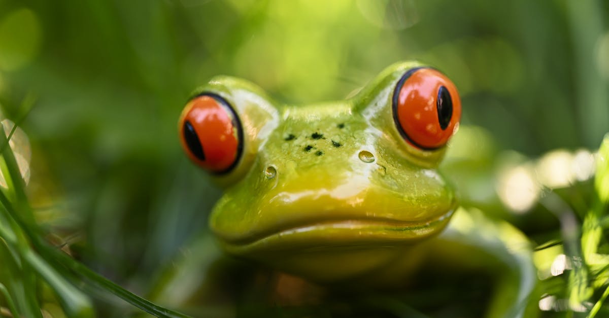 How Artificial Turf Contributes to Water Conservation