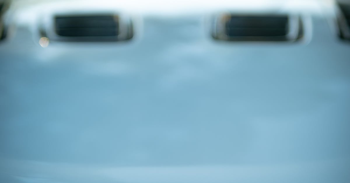 How to Identify and Remove Roots and Debris