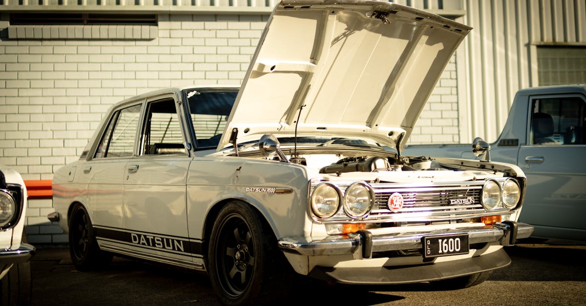 How to Maximise the Durability of Your Artificial Turf