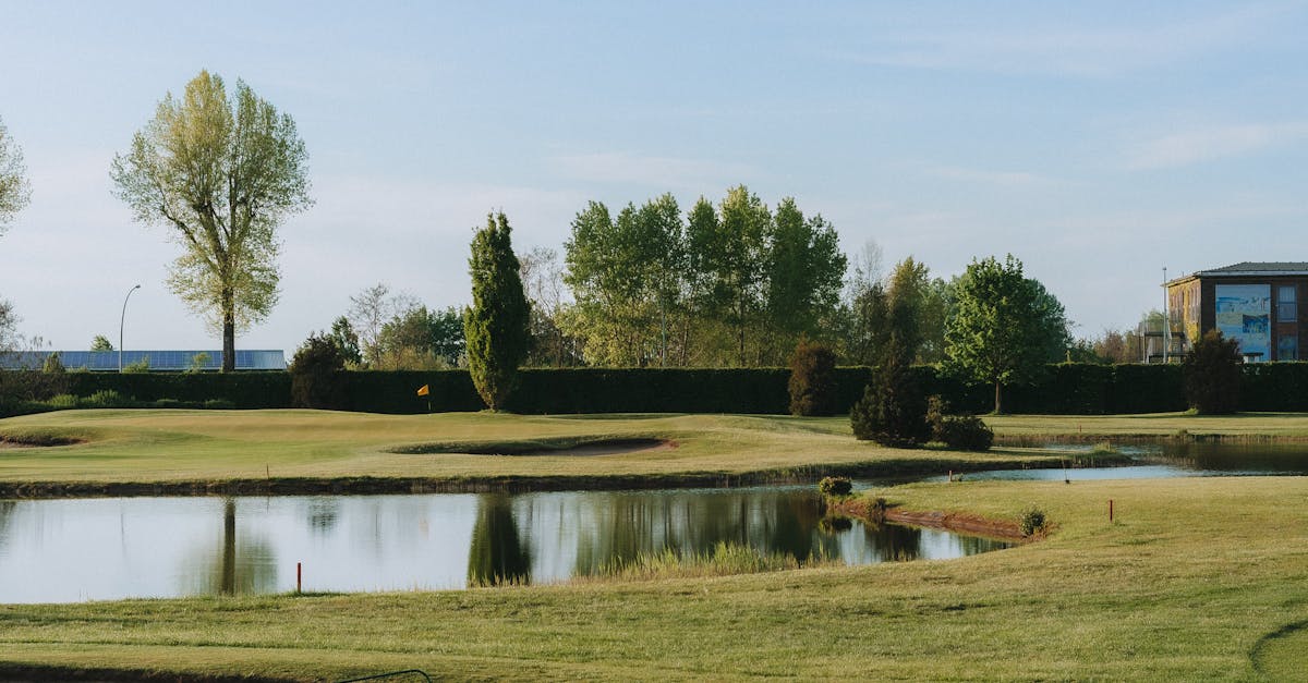 Incorporating Artificial Turf into Modern Urban Gardens