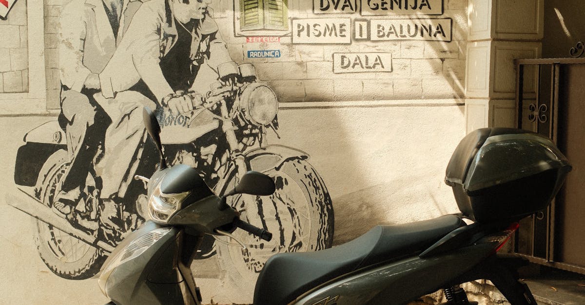 Maintenance Checklist for Regular Turf Cleaning