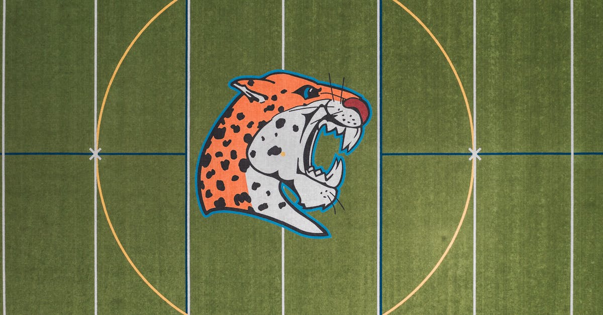 Sales and Property Value Impacts of Installing Artificial Turf