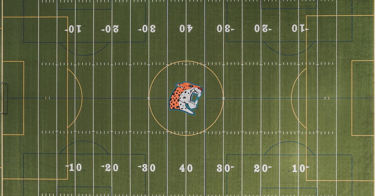 Seasonal Care Checklist for Artificial Grass Maintenance