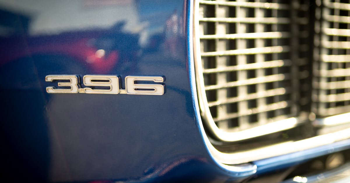 Spring Cleaning Checklist for Your Turf