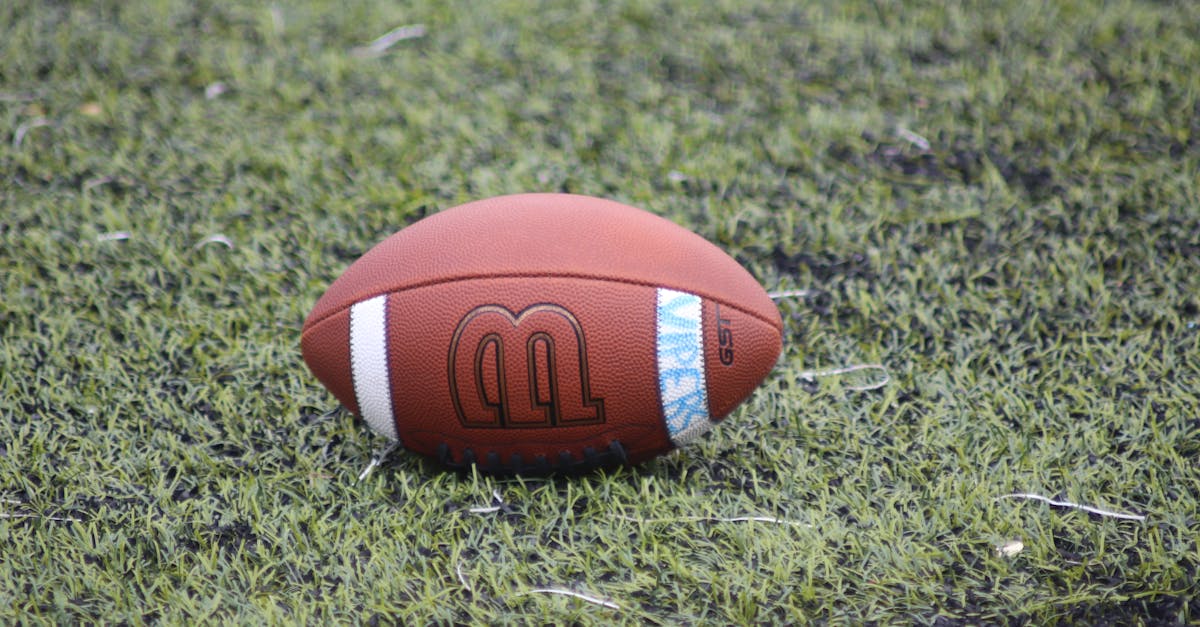 The Impact of Artificial Turf on Reducing Allergens for Children