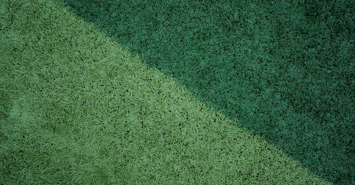 The Positive Environmental Impact of Artificial Turf in Brisbane