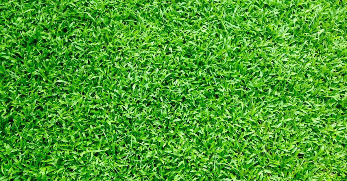 The Role of Artificial Turf in Preventing Playground Injuries