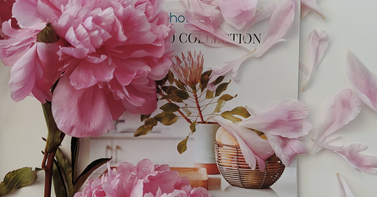 Tips for Preventing Waterlogging During Rainy Seasons