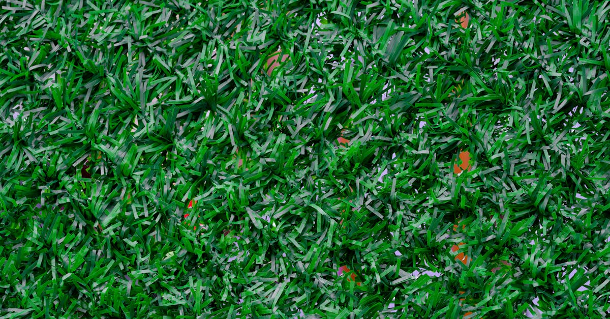 Understanding the Average Costs of Artificial Turf Installation in Brisbane